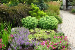 spring gardening