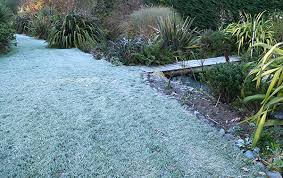 Winter Gardening