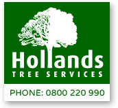 Tree Removal Service Christchurch